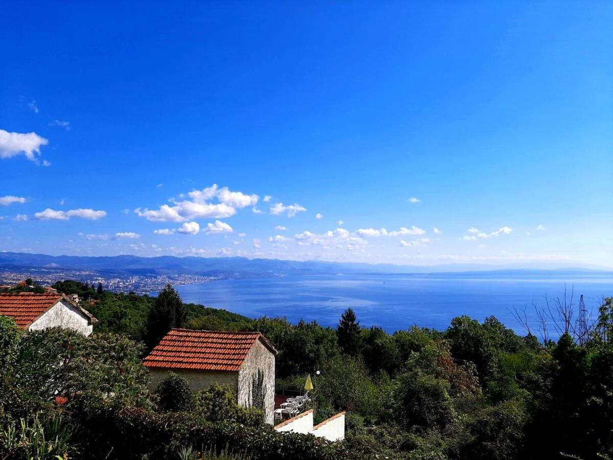 Kuca Kata - Property Nono Veprinac Kültér fotó