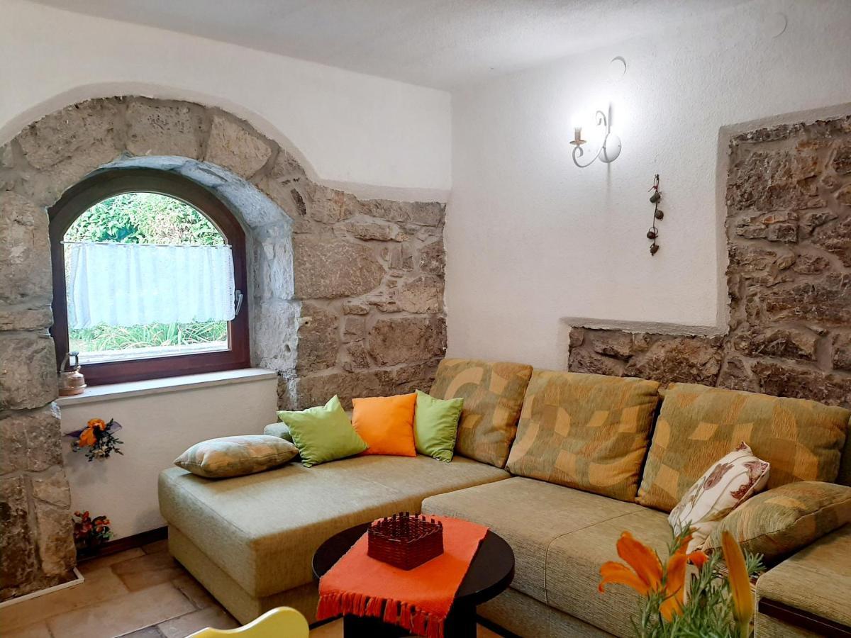 Kuca Kata - Property Nono Veprinac Kültér fotó